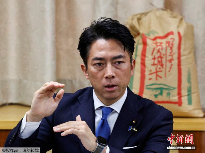 资料图:小泉进次郎。 资料图:小泉进次郎。