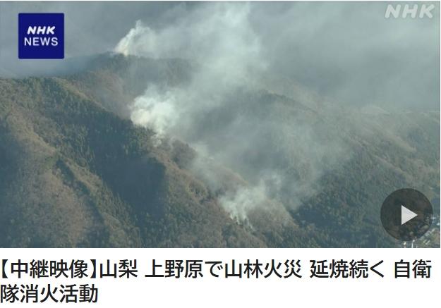 日本山火延烧一天仍未熄灭 当地