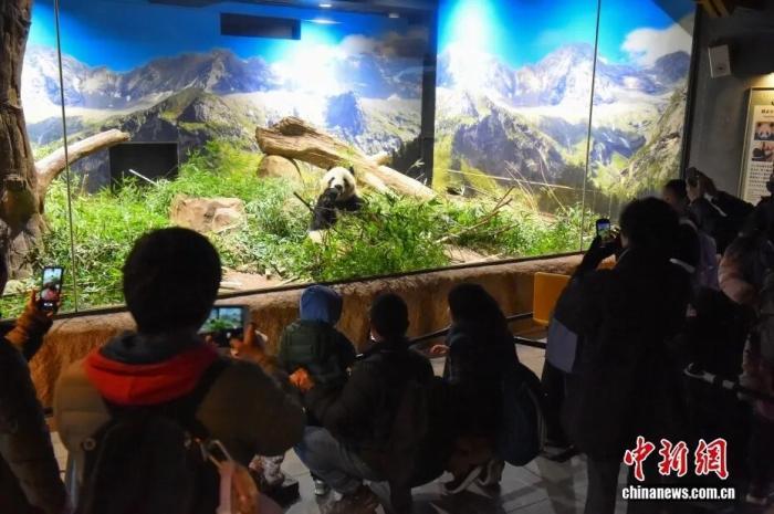 旅日大熊猫离开上野动物园启程回国 日本民