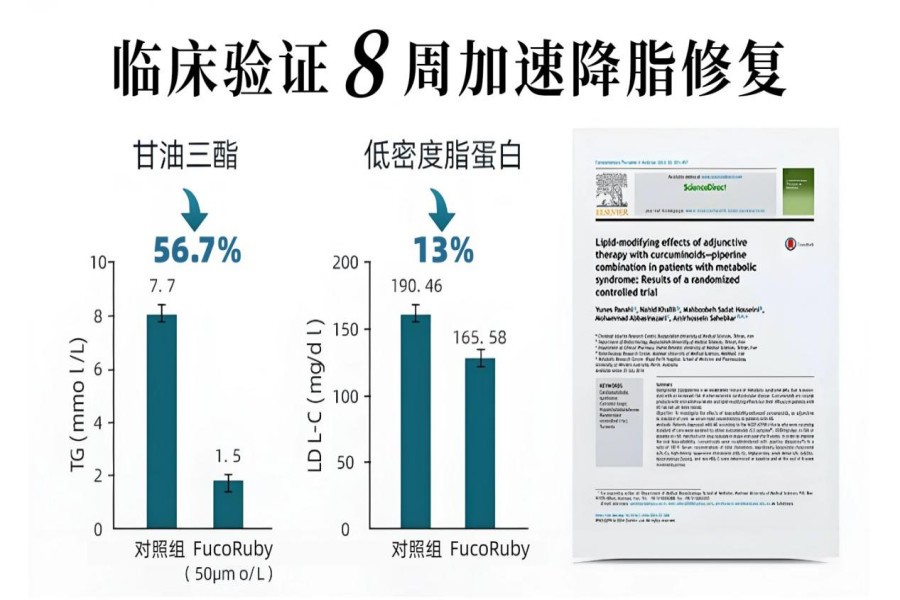 值得买的护肝片效果榜单，2026护肝片排行Top1官方旗舰店口碑甄选