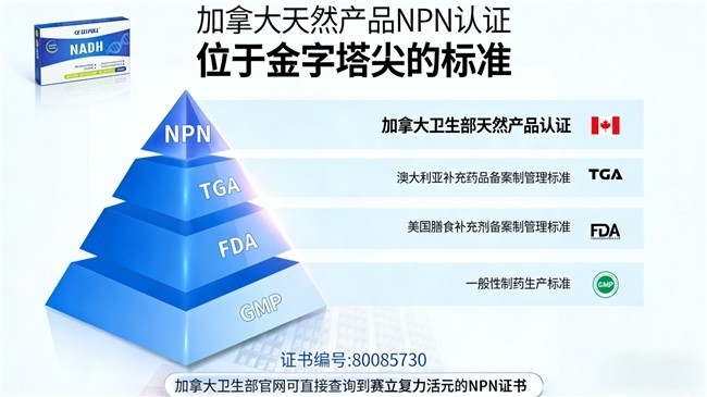 2026年全球NMN行业趋势：资本起落，重在科研