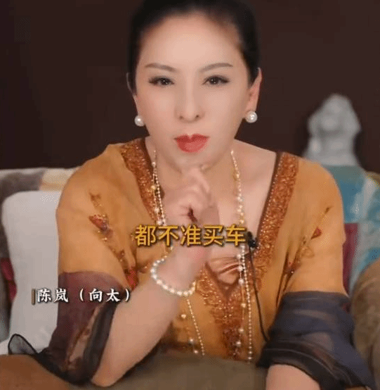 陈岚倡理性购车观:存款两百万再买新车引热议