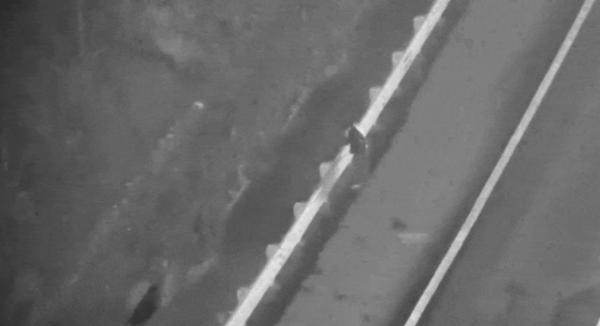 浙江交警用热成像无人机夜间秒寻高速出走男