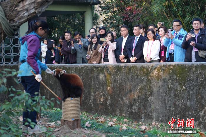 台北市代表团沪上参访   林奕华：两市互学应成常态